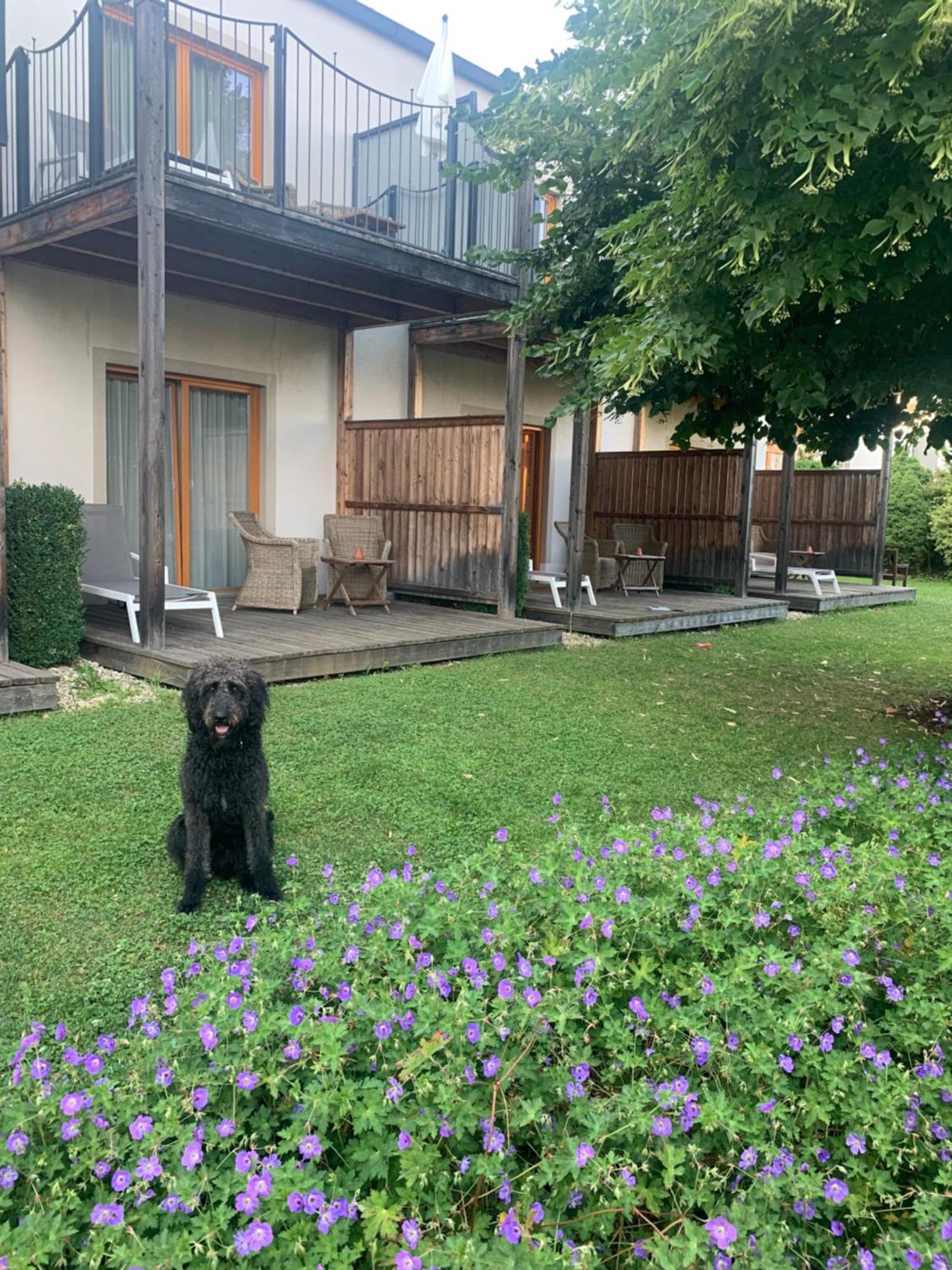 Garten-Hotel Ochensberger Sankt Ruprecht an der Raab Ngoại thất bức ảnh